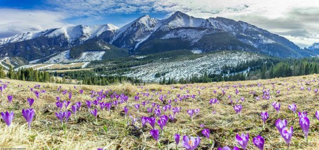 Jaro dorazilo do slovenských hor - Foto Jozef Pitoňák 0322 (5)