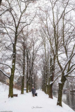Zima v Čelákovicích - Foto Jana Vondráčková 1221