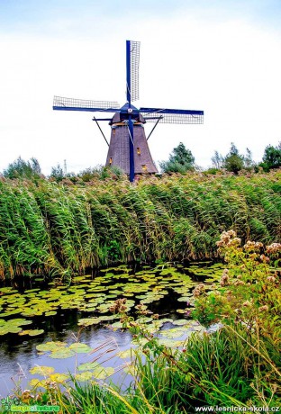 Barevný holandský podzim - Foto Ladilsav Hanousek 1121 (7)