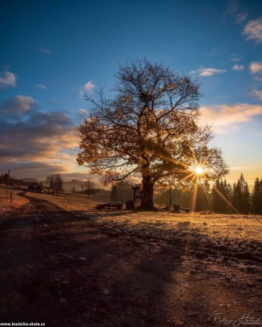 Čas podzimu stromů - Foto Filip Holič 0922