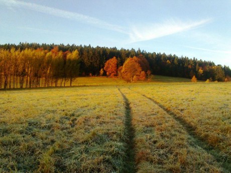 Podzim - Foto Michaela Petrová