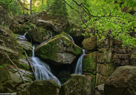 Na Černém potoce - Foto Jaroslava Jechová 0522