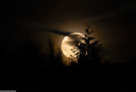 Měsíc - Foto Jana Vondráčková 0622 (2)