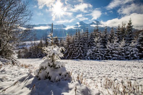 Zima se vrátila do slovenských hor - Foto Jozef Pitoňák 1122 (3)