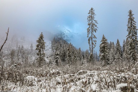 Zima se vrátila do slovenských hor - Foto Jozef Pitoňák 1122 (10)