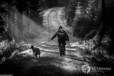 On The Way... - Foto Jiří Křivánek 1222