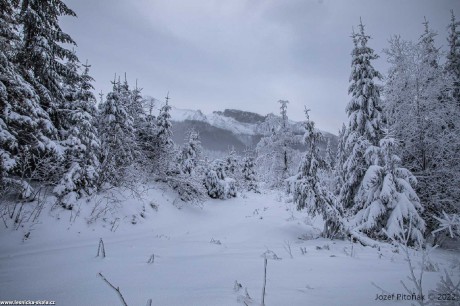 Zima na slovenských horách - Foto Jozef Pitoňák 1222 (1)