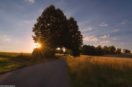 Zelená brána - Foto Jaroslava Jechová 0822