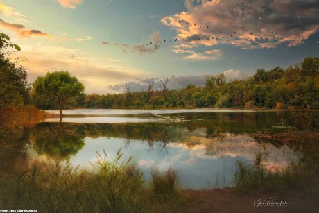 Toušeňské mokřiny - Foto Jana Vondráčková 1022