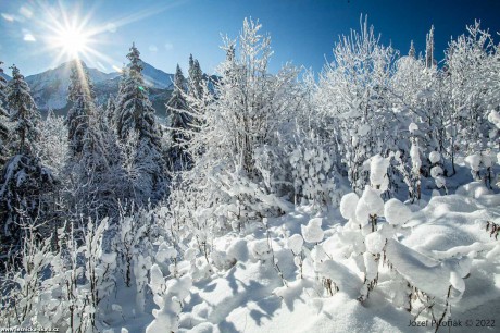 Sněhová nadílka na slovenských horách - Foto Jozef Pitoňák 0123 (2)