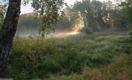 Světelné hrátky - Foto Jaroslava Jechová 0822