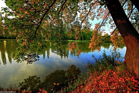 Čarovný podzim - Foto Pavel Balazka 1022