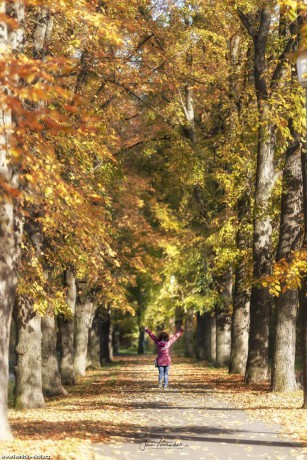 Jásavý podzim v Čelákovicích - Foto Jana Vondráčková 1022