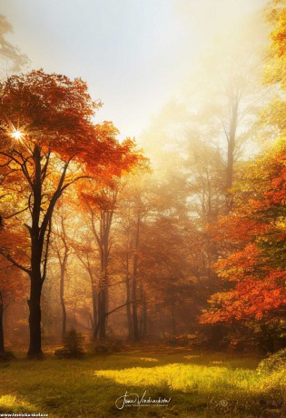 Kouzelný podzim - Foto Jana Vondráčková 1022