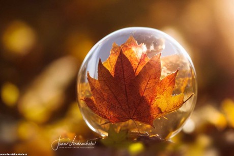 Podzim v bublině - Foto Jana Vondráčková 1022