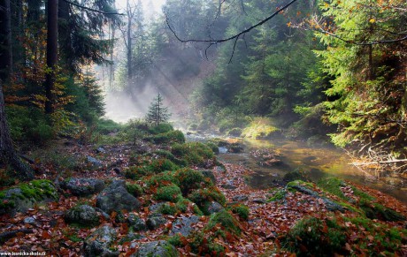 Podzim v Jizerkách - Foto Jaroslava Jechová 1022 (1)