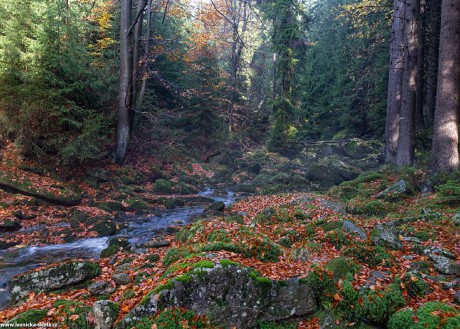 Podzim v Jizerkách - Foto Jaroslava Jechová 1022 (4)