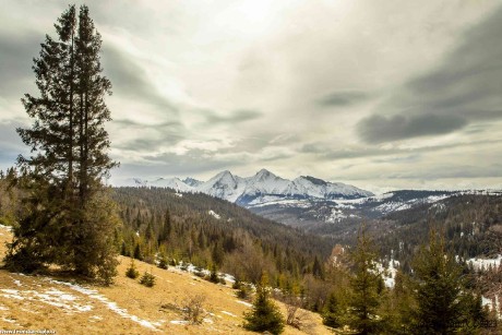 Předjarní obrázky ze slovenských hor - Foto Jozef Pitoňák 0323 (2)