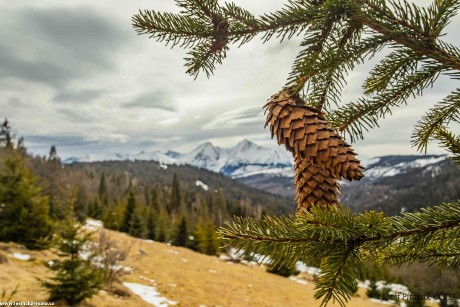 Předjarní obrázky ze slovenských hor - Foto Jozef Pitoňák 0323 (3)