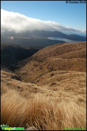 Severní ostrov Nového Zélandu - Foto Roman Brož (19)