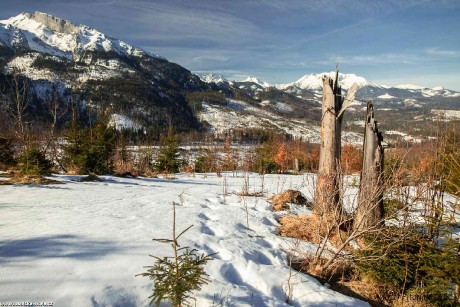 Předjarní obrázky ze slovenských hor - Foto Jozef Pitoňák 0323 (7)