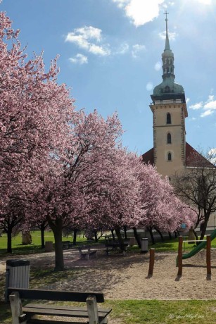 Kostel Nanebevzetí Panny Marie v Mostě - Foto Pavel Ulrych 0423 (1)