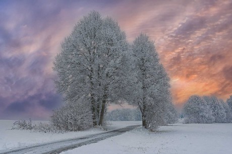 Moje lípy - Foto Jaroslava Jechová 0123