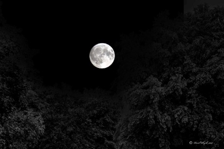 Veliký měsíc - Foto Pavel Ulrych 0723