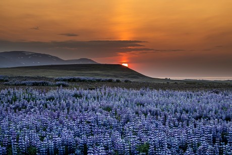 Kaňon Studlagil na Islandu - Foto Jozef Pitoňák 0723 (1)