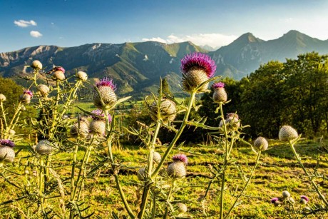 Ke konci léta na slovenských horách - Foto Jozef Pitoňák 0823 (2)