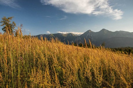 Ke konci léta na slovenských horách - Foto Jozef Pitoňák 0823 (3)