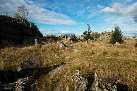 Na Šumavě - Foto Tomáš Kunze 1123 (5)