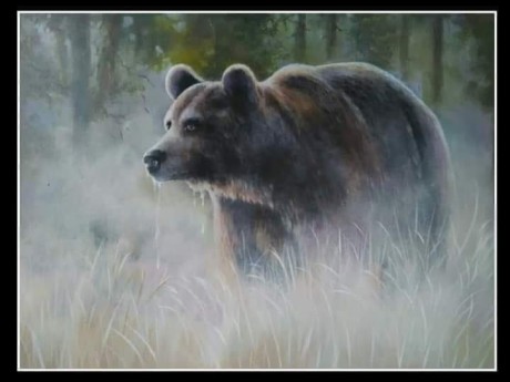 Medvěd - malba akrylem - Autor Marek Zimka 1123