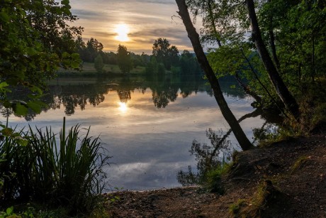 Vesecký rybník - Foto Jaroslava Jechová 0823 (2)