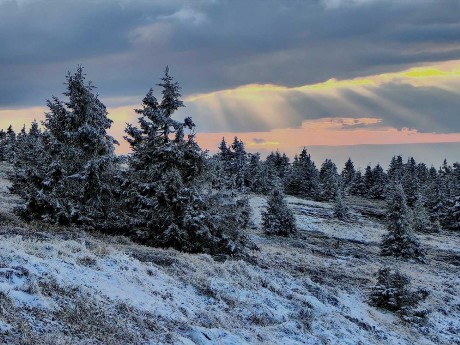 Přichází zima - Foto Marie Vykydalová 1123