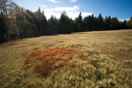 Šumavská zastavení - Foto Tomáš Kunze 1223 (5)