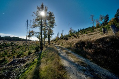 Šumavská zastavení - Foto Tomáš Kunze 1223 (6)