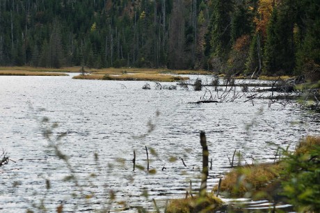 Šumavská zastavení - Foto Tomáš Kunze 1223 (7)