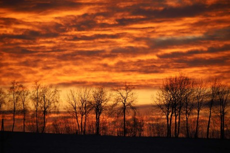 V podvečer na Vysočině - Foto Ladislav Jonák 0124 (2)