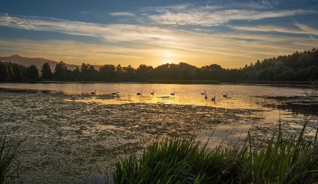 Svítání u rybníka v Chrastné - Foto Jaroslava Jechová 0923 (2)