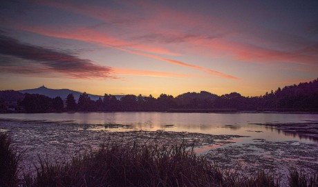 Svítání u rybníka v Chrastné - Foto Jaroslava Jechová 0923 (5)
