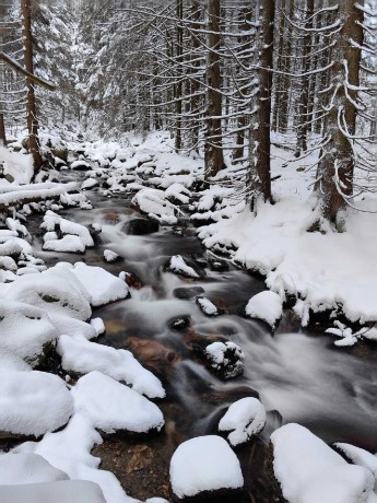 Zimní potok - Foto Marie Vykydalová 1123