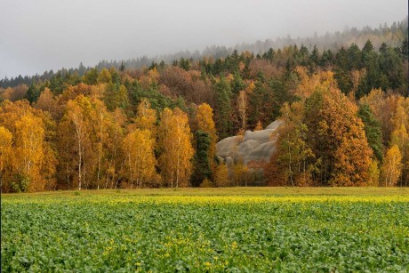 Za slony do Jitravy - Foto Petr Germanič 1123 (3)