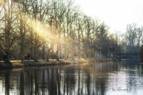 Lednový den na náhoně v Čelákovicích - Foto Jana Vondráčková 0124