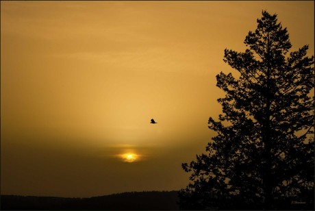 Bílá sobota zavátá saharským pískem - Foto Jitka Havlová 0324