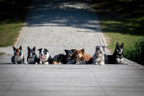 Parta hic - Foto Jiří Křivánek 0424