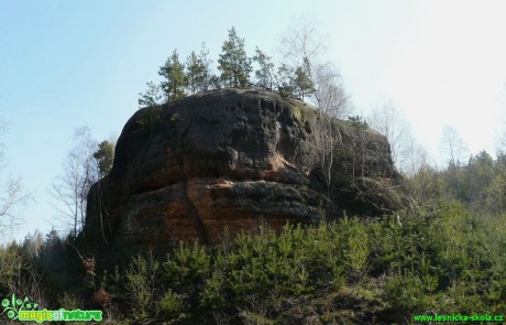 Pískovcová skála - Ralská pahorkatina - Foto Pavel Stančík