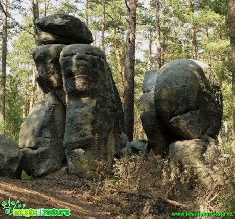 Pískovcový skalní útvar - Maloskalsko (Český ráj) (2) - Foto Pavel Stančík