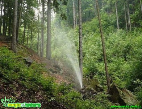 Lesní vodotrysk - CHKO Jizerské hory - Foto Pavel Stančík
