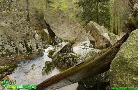 Vodopád Černý potok - CHKO Jizerské hory (2) - Foto Pavel Stančík